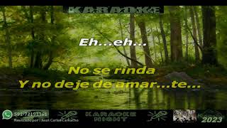 NECESITO ENCONTRARTE  CARIN LEON KARAOKE COVER [upl. by Eetnahc]