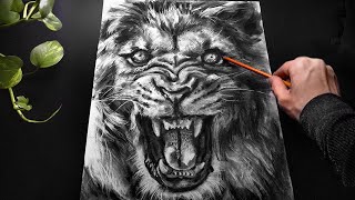 ASMR Drawing a Lion with Charcoal  No Talking [upl. by Enahsed]