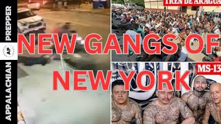 🚨NYPD Cracks Down on Venezuelan Gang Amid Mayor Eric Adams’ Indictment🚨 [upl. by Alamaj183]