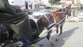 Tour de calèche à Louxor Egypte  Full HD [upl. by Maccarthy]