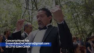 Orquesta para Bodas Fanfarrias en Rondó Mouret  CDMX [upl. by Ahsha]