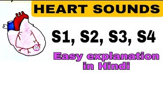 Heart sounds  Explained in hindi  S1 S2 S3 S4  Difference between different heart sounds [upl. by Stasny]