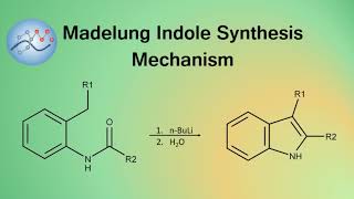 Madelung Indole Synthesis Mechanism  Organic Chemistry [upl. by Siva]