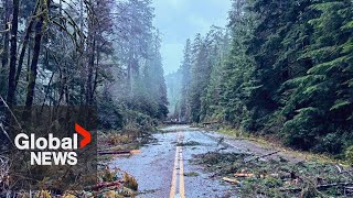 Bomb cyclone Major cleanup underway after BC storm closes roads knocks out power downs trees [upl. by Sands]