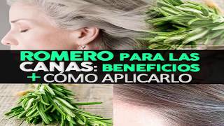 Cómo Aplicar El Romero Para Oscurecer Las Canas Y Qué Beneficios Tiene Para Tu Cabello [upl. by Hadeis]