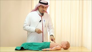 Pediatric Cardiovascular Assessment Physical Examination  Dr Zaher Faisal Zaher [upl. by Gayn]