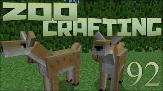 Planning the Forest Exhibits 🐘 Zoo Crafting Episode 92 [upl. by Sethi481]