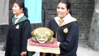 The Quidditch World Cup Theme song  Performed by the Frog choir at Universal [upl. by Marlene]