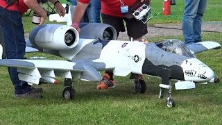 RC Modellflugzeuge beim Flugtag Kehl Sundheim 2016  Modellflug Show [upl. by Rube]