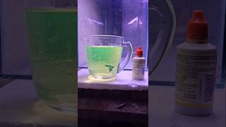 Curando Aletas mordidas en mis peces acuariofilia fish guppy [upl. by Nomla242]