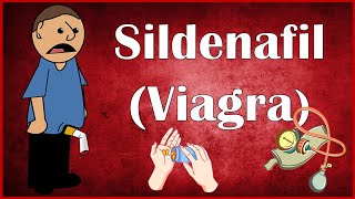 Sildenafil Viagra  Uses Dosage Mechanism Of Action Pharmacokinetics amp Adverse Effects [upl. by Isus]