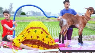 New Funniest Comedy Video 2024 😂 Amazing Totally Funny Video 2024 Episode 08 By My Ziddi Fun [upl. by Arondell]