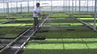 MossKade® for Horticulture and Nurseries [upl. by Khorma]