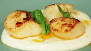 Seared Scallops With Chorizo Butter Cauliflower Puree And Pea Shoots Simply Gourmet [upl. by Einreb]