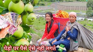 जो दिखता है वैसा होता नहीं 🌹Real Struggle of village people💪kinnaur apple orchardHP [upl. by Anaehr]