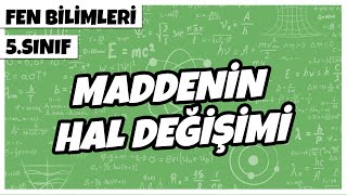 5 Sınıf Fen Bilimleri  Kuvvet ve Kuvvetin Ölçülmesi  2024  2025 [upl. by Villada]