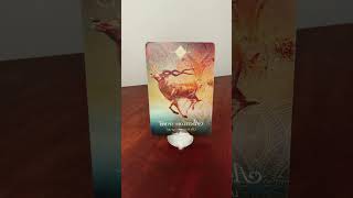 369 Leo  Spirit Animal Oracle Message Antelope Spirit [upl. by Kyte]