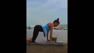 Banish Bloating amp Improve Digestion With Guthealing Somatic Exercises And Yin Yoga [upl. by Tegan]