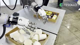 ROBOTIC HANDS Are Changing the Game with Precision Like This [upl. by Htebi]