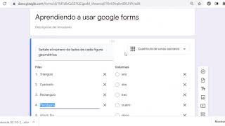 como funciona la cuadricula de varias opciones en google forms [upl. by Didier]