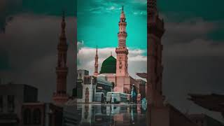 Tala al badru alaina naat shorts islamicshortvideo [upl. by Nodnarg165]