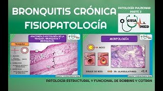 EPOC BRONQUITIS CRÓNICA FISIOPATOLOGÍA  GuiaMed [upl. by Herzberg167]