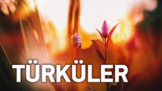 SAZLI SÖZLÜ TÜRKÜLER  En Çok Dinlenen Türküler elapro [upl. by Akiem]