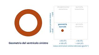 Geometria del ventricolo sinistro [upl. by Adnarb183]