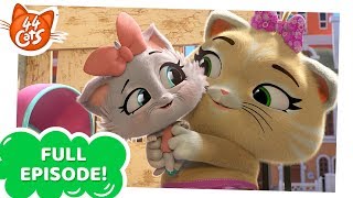 44 Cats  Pilou the kitten sitter FULL EPISODE [upl. by Liederman338]