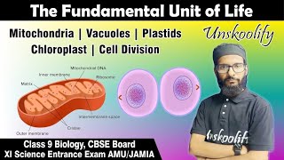 Mitochondria  Chloroplast  Cell Division  The fundamental unit of life in hindi class9 cbse [upl. by Brathwaite974]