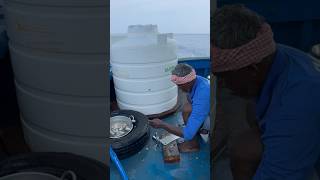 Yummy Gar Fish Curry Making In The Sea seafoodcooking indianoceanfisherman shorts [upl. by Yeltneb]