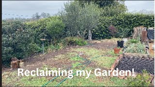 Reclaiming my garden [upl. by Quill]