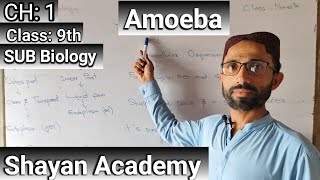 Amoeba  Biology  Unicellular  shayanacademy ayazhussain [upl. by Eldoree164]