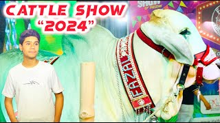 Pakistan ke sabse heavy janwar😍🐮expo center Dalfa 2024 ke nayab tareen khubsurat janwar exhibition🤩 [upl. by Anabel]