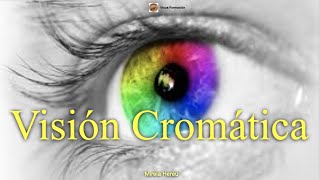 Visión Cromática [upl. by Litnahs395]