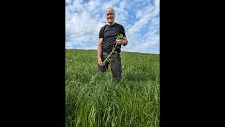 Biodynamic carbon farming  First silage cut May 5th 2024 [upl. by Eenaffit190]