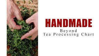 How Green Tea is Made Handmade Chinese Green Tea Processing [upl. by Rocca]