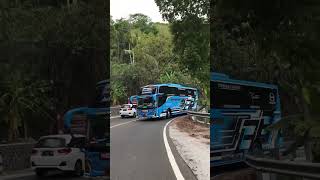 Trip Explore gunungkidul busmania trending basuri basuriv3 basurimania [upl. by Ahsiket]