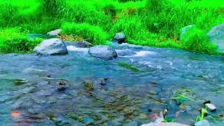 quotGentle River Sound Stream  Perfect for Meditation and Restquot [upl. by Stclair]