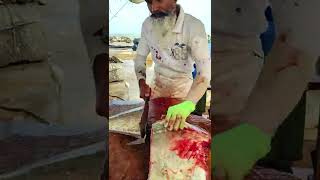 Huge Diamond Trevally Fish Cutting [upl. by Halle]