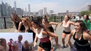 Paule amp Kens Flash Mob Proposal  Brooklyn Promenade NYC [upl. by Laehcimaj]