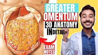 greater omentum anatomy 3d  peritoneum anatomy  greater sac anatomy [upl. by Ardnaik781]