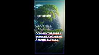 Journée mondiale de lenvironnement  voici 3 règles à faire pour maintenir son cadre propre short [upl. by Lindblad964]