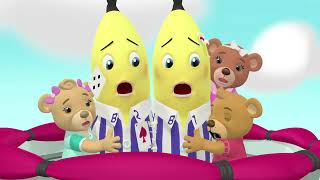 Animal Adventures Compilation  Bananas in Pyjamas Season 1  Full Episodes  Bananas In Pyjamas [upl. by Aleet]