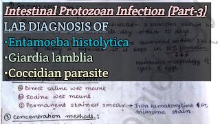 Intestinal Protozoan Infection Part3  Lab diagnosis of Ehistolytica Glamblia Coccidian paras [upl. by Oiramd]