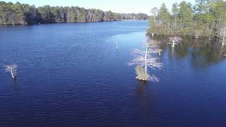 Cheraw State Park  Lake Juniper [upl. by Hameerak]