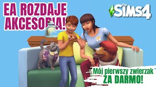 AKCESORIA ZA DARMO Zgarnij akcesoria MÓJ PIERWSZY ZWIERZAK  THE SIMS 4 [upl. by Vial452]