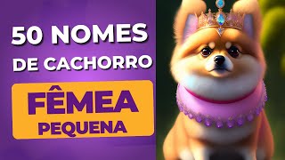 Nomes de cachorro PEQUENO FÊMEA COISA MAIS FOFA [upl. by Ithaman675]