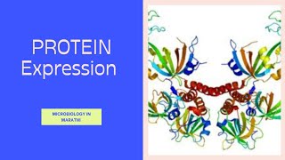 Expression of Protein  Molecular Biology  Microbiology in Marathi [upl. by Certie]