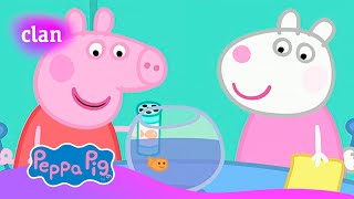 Peppa Pig El concurso de mascotas  Episodio completo  Clan TVE [upl. by Cecilius101]